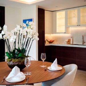 Back kitchen or service kitchen design adjacent to the dining room